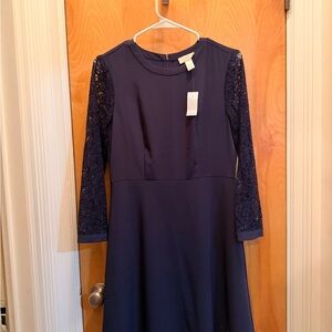 LOFT Navy A-Line Dress with Lace Sleeves